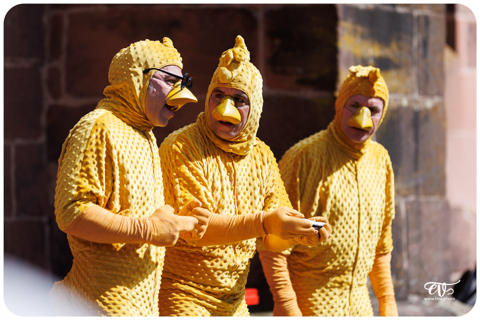 UN POUR TOUS TOUS POUSSIN ! - LES ARTS PITRES